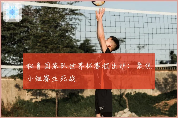 秘鲁国家队世界杯赛程出炉：聚焦小组赛生死战