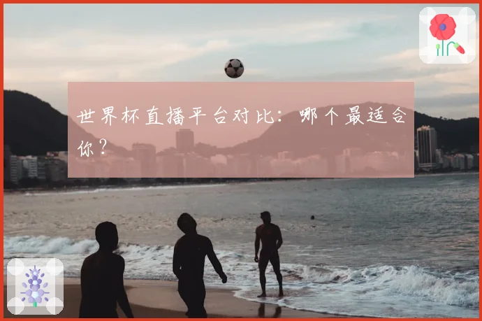 世界杯直播平台对比：哪个最适合你？