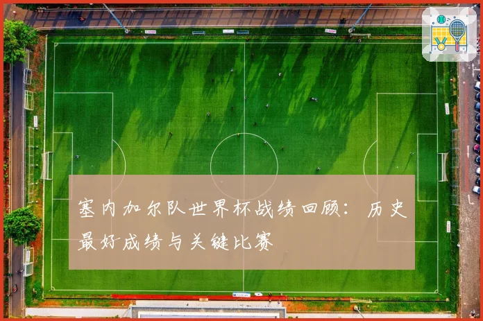 塞内加尔队世界杯战绩回顾：历史最好成绩与关键比赛