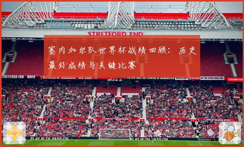 塞内加尔队世界杯战绩回顾:历史最好成绩与关键比赛
